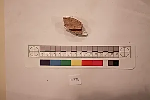 Stucco Fragment