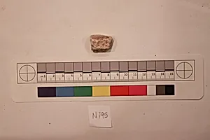 Stucco Fragment