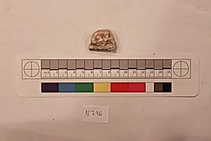 Stucco Fragment