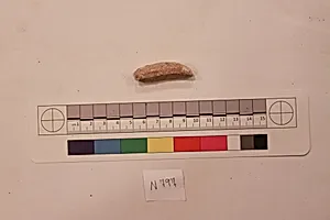 Stucco Fragment