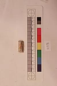 Stucco Fragment