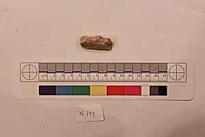 Stucco Fragment