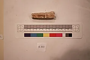 Stucco Fragment