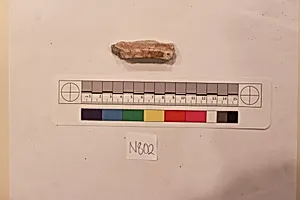 Stucco Fragment