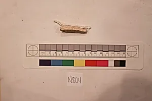 Stucco Fragment