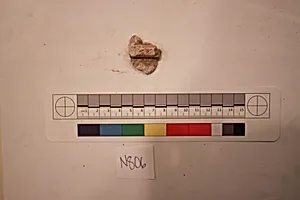 Stucco Fragment