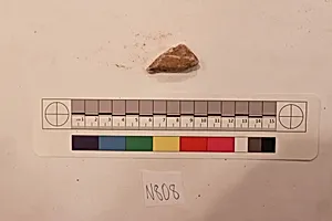 Stucco Fragment