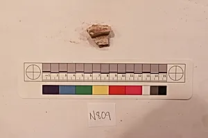 Stucco Fragment