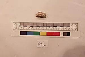 Stucco Fragment