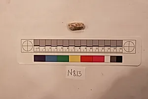 Stucco Fragment
