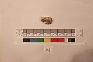 Stucco Fragment