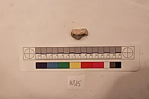 Stucco Fragment