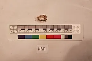 Stucco Fragment