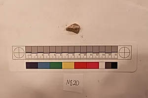 Stucco Fragment