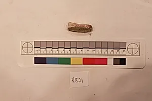 Stucco Fragment