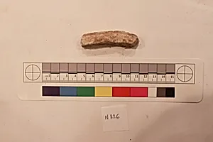 Stucco Fragment