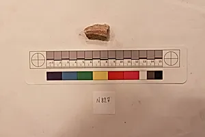 Stucco Fragment