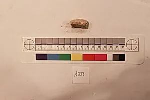 Stucco Fragment