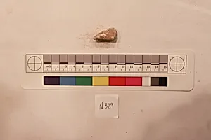 Stucco Fragment