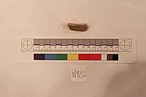 Stucco Fragment