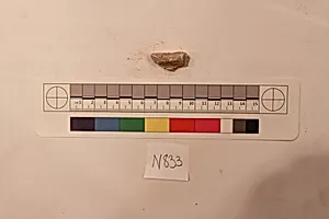 Stucco Fragment