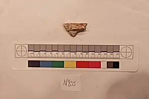 Stucco Fragment
