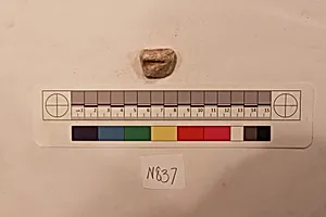 Stucco Fragment