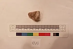 Stucco Fragment