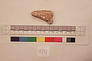 Stucco Fragment