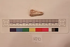 Stucco Fragment