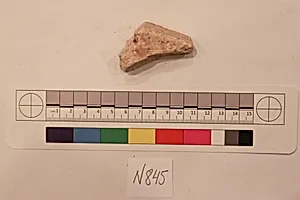 Stucco Fragment
