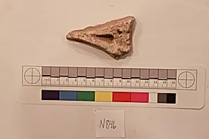 Stucco Fragment