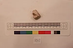 Stucco Fragment