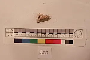 Stucco Fragment