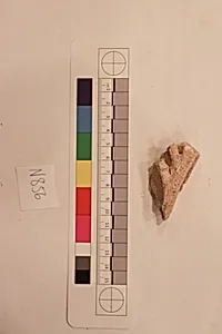 Stucco Fragment