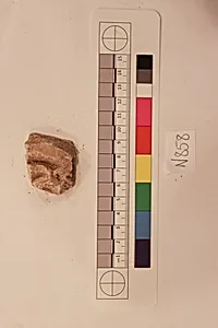 Stucco Fragment