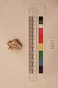 Stucco Fragment