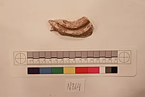 Stucco Fragment