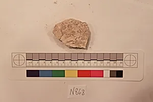 Stucco Fragment