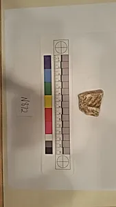 Stucco Fragment
