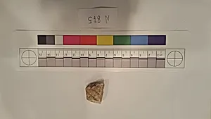 Stucco Fragment