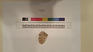 Stucco Fragment