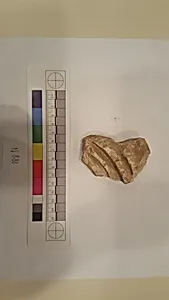 Stucco Fragment
