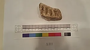 Stucco Fragment