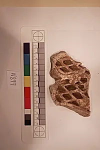 Stucco Fragment