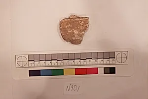 Stucco Fragment