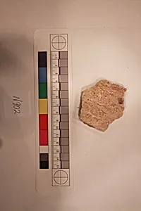 Stucco Fragment
