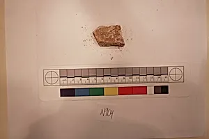 Stucco Fragment
