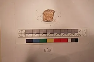 Stucco Fragment