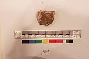 Stucco Fragment